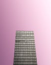 Monochrome Glass Skyscraper On Pink