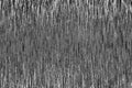 Monochrome glitch background. Abstract black and white lines. Pixel sorting texture Royalty Free Stock Photo