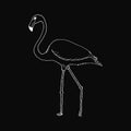 Monochrome hand draw flamingo style sketch
