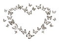 Monochrome heart of butterflies. Flying insects with detailed wings. Isolated black and white tattoo shapes. Decorative