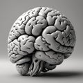 Monochrome Hyperrealistic 3D Brain Render in Unreal Engine