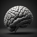 Monochrome Hyperrealistic 3D Brain Render in Unreal Engine
