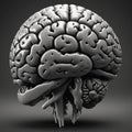Monochrome Hyperrealistic 3D Brain Render in Unreal Engine