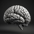 Monochrome Hyperrealistic 3D Brain Render in Unreal Engine