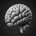 Monochrome Hyperrealistic 3D Brain Render in Unreal Engine