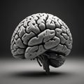 Monochrome Hyperrealistic 3D Brain Render in Unreal Engine