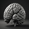 Monochrome Hyperrealistic 3D Brain Render in Unreal Engine