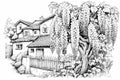 Monochrome illustration of a country house with a wisteria tree. Printable coloring book. Generative AI