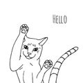 Monochrome Illustration of funny cat and text Hello. Royalty Free Stock Photo