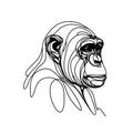 A monochrome illustration showcasing the head of a chimpanzee with a lengthy, curved snout and prominent, wide eyes.