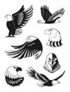 Monochrome illustrations set of eagles. Vector elements for logo, badges or labels design