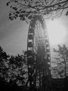 A monochrome image of the Belfast Wheel in the soft diffused evening light of a day in December