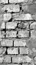 A monochrome image capturing the crumbling paint on a brick wall, symbolizing the inevitable wear and character imparted