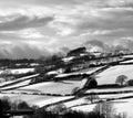 Winter monochrome, snow, sun, cloudy and bleak. Royalty Free Stock Photo