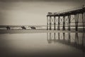 Monochrome image of horses on shoreline at Saltburn-by-the-Sea Royalty Free Stock Photo