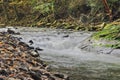 A color image of Great Trough Creek in Trough Creek State Park 