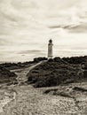 Monochrome image of the lighthouse Dornbusch on the island Hiddensee, Germany, sepia toned