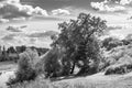 Bright summer day in the countryside. Landscape next to the Holy Bogolyubovo monastery, Vladimir region, Russia. Royalty Free Stock Photo