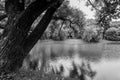 Monochrome image. Quiet place on a pond surrounded by old trees in the Park.