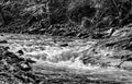 Great Trough Creek In Monochrome