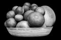 Monochrome isolated plate full of citruses fruits. Set of oranges, tangerines, limes, pummelo, grapefruits on black background Royalty Free Stock Photo