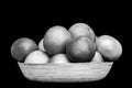 Monochrome isolated plate full of citruses fruits. Set of oranges, tangerines, limes, pummelo, grapefruits on black background Royalty Free Stock Photo