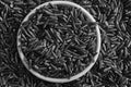 Monochrome Jasmine Brown wholemeal Rice in small plate Concept of proper nutrition and healthy lifestyle. Close-up as background