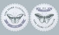 Monochrome labels design with illustration of common green birdwing, wallace s golden birdwing