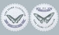 Monochrome labels design with illustration of rajah brooke s birdwing