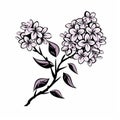 Monochrome Lilac Blossom Vector Sketch - Prudence Heward Style