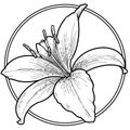 Monochrome lily flower in a circle