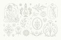 Monochrome line art floristic logo collection vector illustration emblem feminine beauty salon