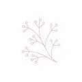 Monochrome line art lingonberry, cranberry, rowan twig branch seasonal natural berry garden logo