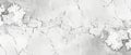Monochrome Marble Texture With Veins Royalty Free Stock Photo