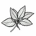 Monochrome Mint Leaves Coloring Page With Clean Inking Style