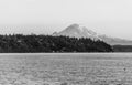 Monochrome Mount Rainier 2 Royalty Free Stock Photo