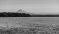 Monochrome Mount Rainier Royalty Free Stock Photo