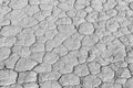 Monochrome mud texture of drying prism desiccation cracks in soil.