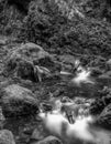 Monochrome long exposure of a crystal clear creek in a winter/fall forest Royalty Free Stock Photo