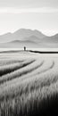 Monochrome Palette: A Journey Through Rural China\'s Majestic Landscapes