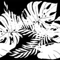 Monochrome Palm Tree Vector Seamless Pattern. Royalty Free Stock Photo