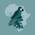 Monochrome parrot on map Africa