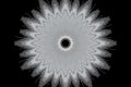Monochrome pattern background floral kaleidoscope. black hypnotic