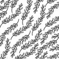 Monochrome pattern of branches with ovoid leaves