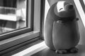 Monochrome Penguin toy sitting by the window in shadows Royalty Free Stock Photo