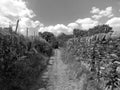 Monochrome perspective view of a long narrow country lane running uphill surrounded by high stone walls west yorkshire with