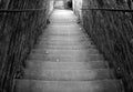 Monochrome perspective view of narrow old outdoor stone steps descending between walls with weeds and moss growing in the