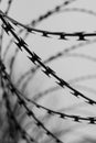 Monochrome photo of detail of barbed wire. Steel border. Prison, military or quarantine concept