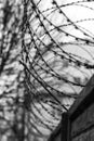 Monochrome photo of detail of barbed wire. Steel border. Prison, military or quarantine concept