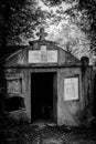 Monochrome picture of an old grave in a forest Royalty Free Stock Photo